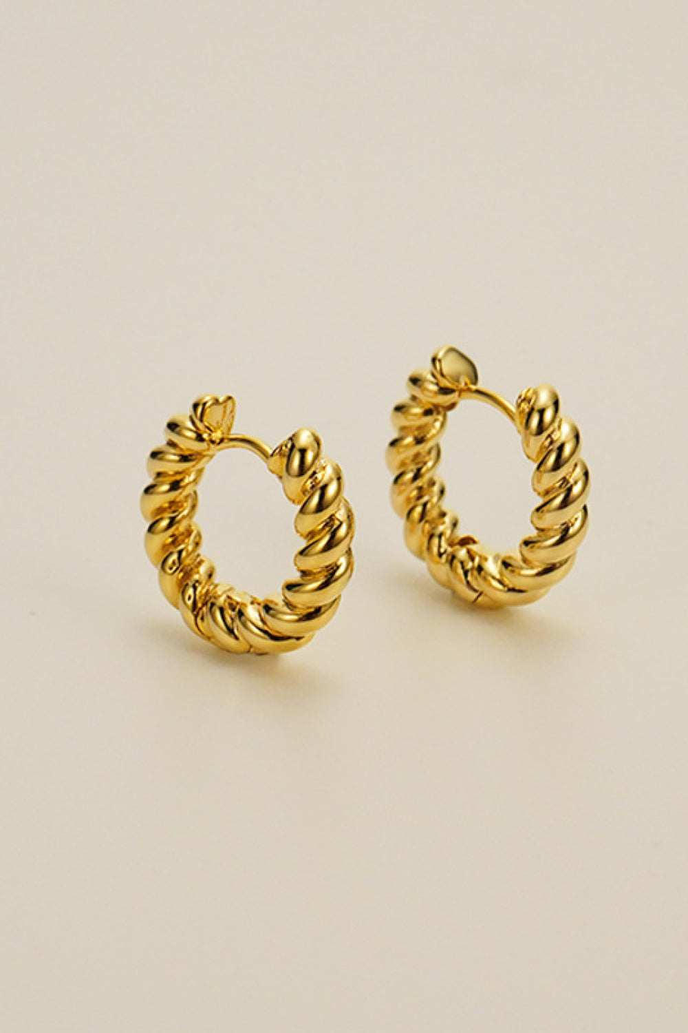 Rope Hoop Earrings